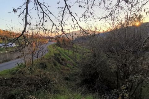 Helårsgrund i Ponte de Lima, Viana do Castelo, Ponte de Lima - € 37.000 | Ref: 5650 - foto 2