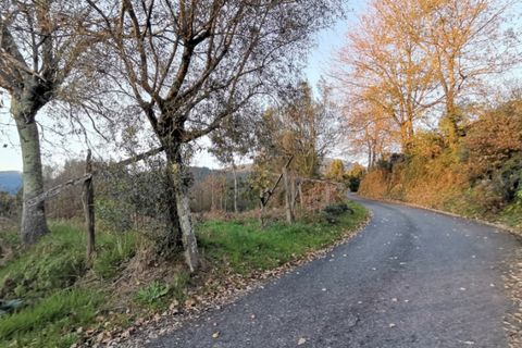 Helårsgrund i Ponte de Lima, Viana do Castelo, Ponte de Lima - € 37.000 | Ref: 5650 - foto 3