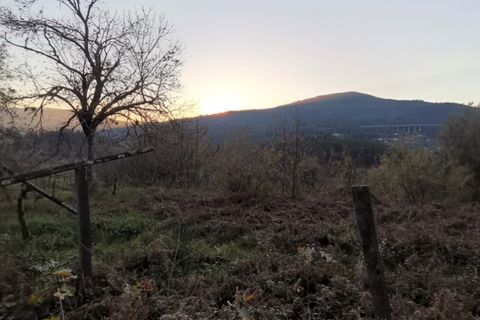 Helårsgrund i Ponte de Lima, Viana do Castelo, Ponte de Lima - € 37.000 | Ref: 5650 - foto 4