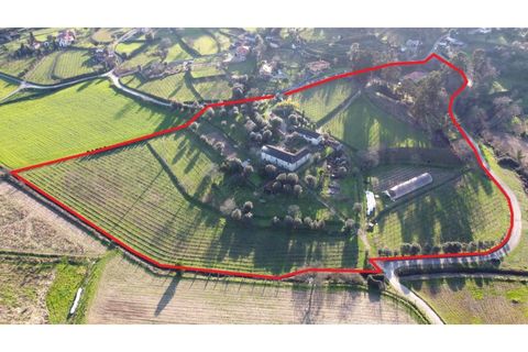 Farm i Ponte de Lima, Viana do Castelo, Ponte de Lima - € 565.000 | Ref: 6099 - foto 2
