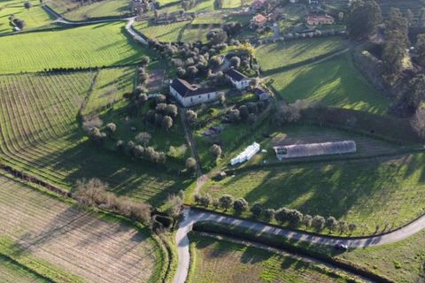 Farm i Ponte de Lima, Viana do Castelo, Ponte de Lima - € 565.000 | Ref: 6099 - foto 5