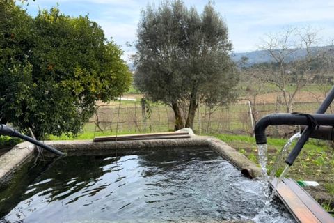 Farm i Ponte de Lima, Viana do Castelo, Ponte de Lima - € 565.000 | Ref: 6099 - foto 9