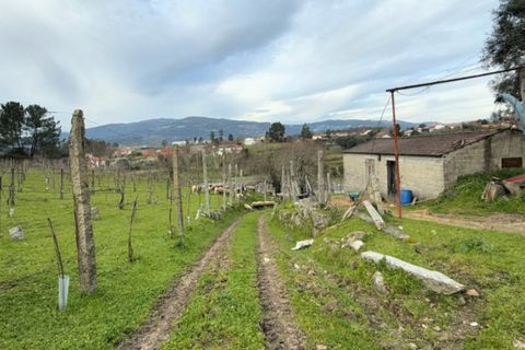 Farm i Ponte de Lima, Viana do Castelo, Ponte de Lima - € 565.000 | Ref: 6099 - foto 11