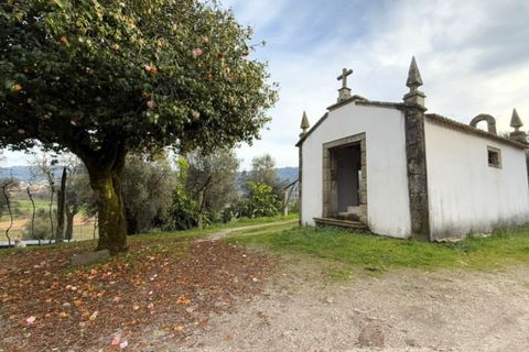 Farm i Ponte de Lima, Viana do Castelo, Ponte de Lima - € 565.000 | Ref: 6099 - foto 14
