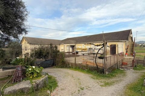 Farm i Ponte de Lima, Viana do Castelo, Ponte de Lima - € 565.000 | Ref: 6099 - foto 15