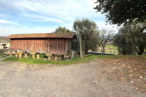 Farm i Ponte de Lima, Viana do Castelo, Ponte de Lima - € 565.000 | Ref: 6099 - foto 16