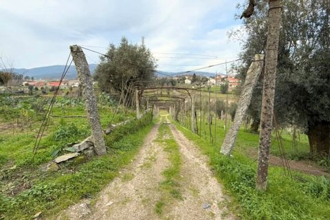 Farm i Ponte de Lima, Viana do Castelo, Ponte de Lima - € 565.000 | Ref: 6099 - foto 18