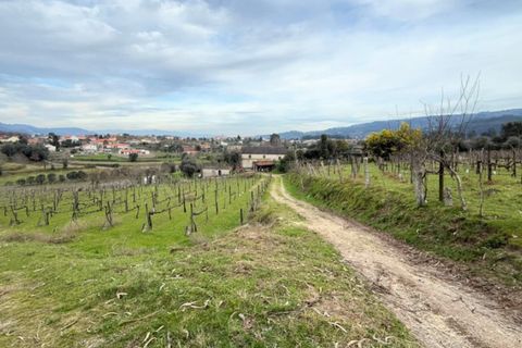 Farm i Ponte de Lima, Viana do Castelo, Ponte de Lima - € 565.000 | Ref: 6099 - foto 19