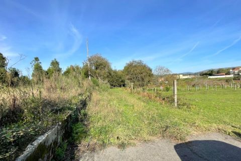 Helårsgrund i Ponte de Lima, Viana do Castelo, Ponte de Lima - € 65.000 | Ref: 6061 - foto 3