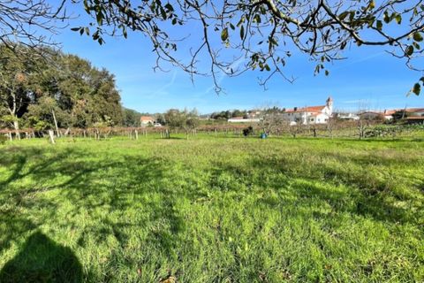 Helårsgrund i Ponte de Lima, Viana do Castelo, Ponte de Lima - € 65.000 | Ref: 6061 - foto 4
