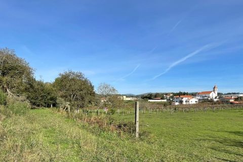 Helårsgrund i Ponte de Lima, Viana do Castelo, Ponte de Lima - € 65.000 | Ref: 6061 - foto 6