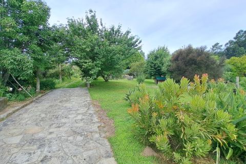 Farm i Ponte de Lima, Viana do Castelo, Ponte de Lima - € 950.000 | Ref: 5880 - foto 6