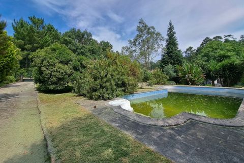 Farm i Ponte de Lima, Viana do Castelo, Ponte de Lima - € 950.000 | Ref: 5880 - foto 23