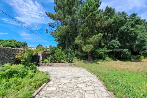 Farm i Ponte de Lima, Viana do Castelo, Ponte de Lima - € 950.000 | Ref: 5880 - foto 24