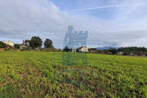 Helårsgrund i Ponte de Lima, Viana do Castelo, Ponte de Lima - € 139.000 | Ref: 5807 - foto 2
