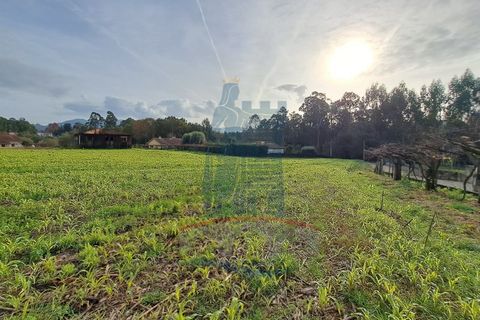 Helårsgrund i Ponte de Lima, Viana do Castelo, Ponte de Lima - € 139.000 | Ref: 5807 - foto 3