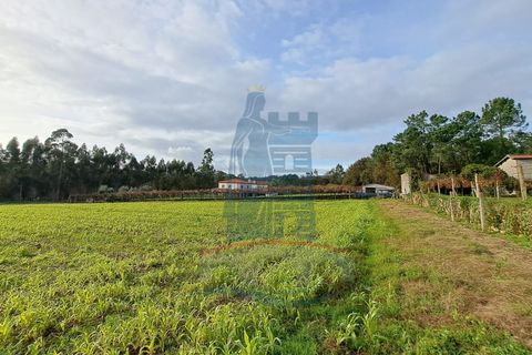 Helårsgrund i Ponte de Lima, Viana do Castelo, Ponte de Lima - € 139.000 | Ref: 5807 - foto 4
