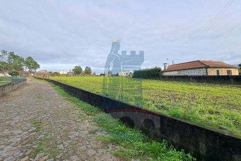 Helårsgrund i Ponte de Lima, Viana do Castelo, Ponte de Lima - € 139.000 | Ref: 5807 - foto 5