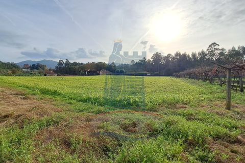 Helårsgrund i Ponte de Lima, Viana do Castelo, Ponte de Lima - € 139.000 | Ref: 5807 - foto 6
