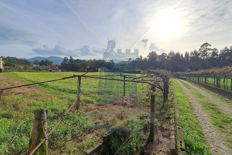 Helårsgrund i Ponte de Lima, Viana do Castelo, Ponte de Lima - € 139.000 | Ref: 5807 - foto 7