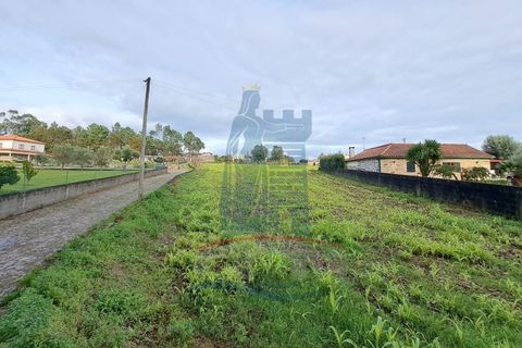 Helårsgrund i Ponte de Lima, Viana do Castelo, Ponte de Lima - € 139.000 | Ref: 5807 - foto 9
