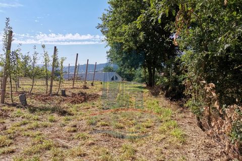 Helårsgrund i Ponte de Lima, Viana do Castelo, Ponte de Lima - € 26.000 | Ref: 5606 - foto 4