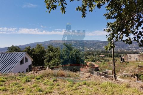 Helårsgrund i Ponte de Lima, Viana do Castelo, Ponte de Lima - € 26.000 | Ref: 5606 - foto 6
