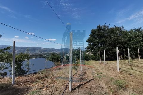 Helårsgrund i Ponte de Lima, Viana do Castelo, Ponte de Lima - € 26.000 | Ref: 5606 - foto 7