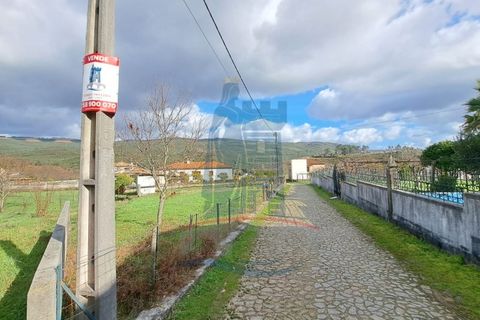 Helårsgrund i Viana do Castelo, Viana do Castelo, Viana do Castelo - € 39.000 | Ref: 5929 - foto 3