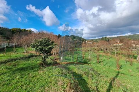 Helårsgrund i Viana do Castelo, Viana do Castelo, Viana do Castelo - € 39.000 | Ref: 5929 - foto 4