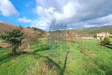 Helårsgrund i Viana do Castelo, Viana do Castelo, Viana do Castelo - € 39.000 | Ref: 5929 - foto 8