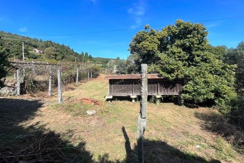 Farm i Vila Verde, Braga, Vila Verde - € 960.000 | Ref: 5892 - foto 8