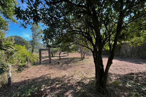 Farm i Vila Verde, Braga, Vila Verde - € 960.000 | Ref: 5892 - foto 10