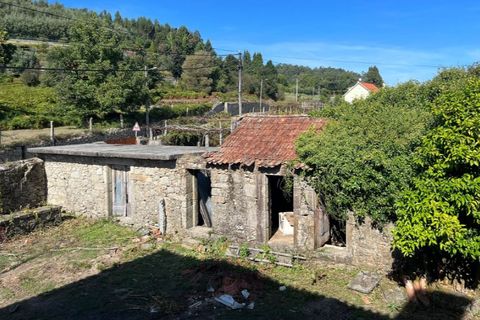Farm i Vila Verde, Braga, Vila Verde - € 960.000 | Ref: 5892 - foto 19