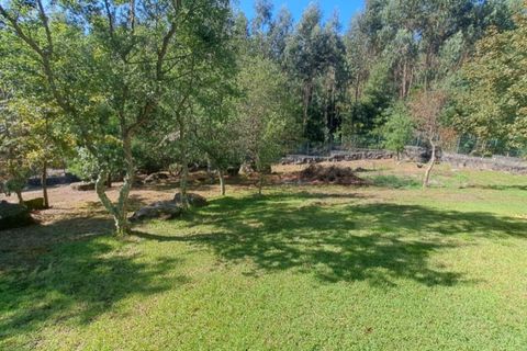 Villa i Ponte de Lima, Viana do Castelo, Ponte de Lima - € 1.300.000 | Ref: 6234 - foto 26