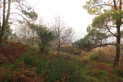 Tomt i Gondufe, Viana do Castelo, Gondufe - € 75 000 | Ref: 5284 - foto 6