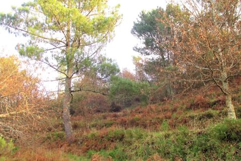 Tomt i Gondufe, Viana do Castelo, Gondufe - € 75 000 | Ref: 5284 - foto 10