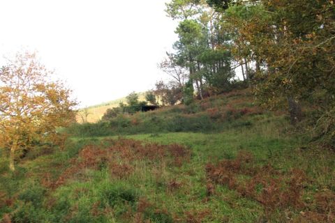 Tomt i Gondufe, Viana do Castelo, Gondufe - € 75 000 | Ref: 5284 - foto 11