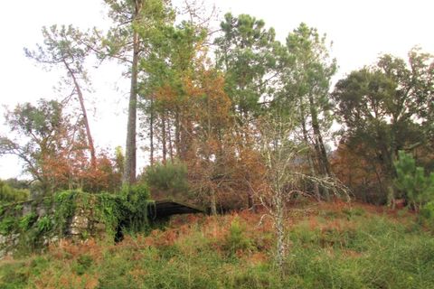 Tomt i Gondufe, Viana do Castelo, Gondufe - € 75 000 | Ref: 5284 - foto 12