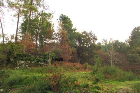 Tomt i Gondufe, Viana do Castelo, Gondufe - € 75 000 | Ref: 5284 - foto 13