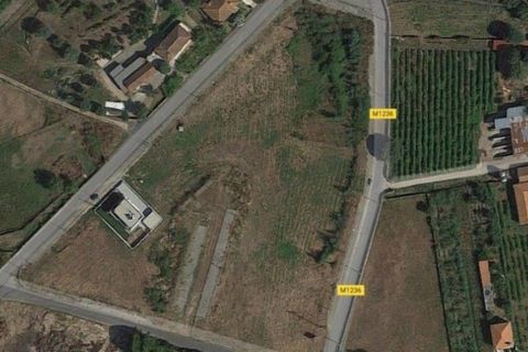 Helårsgrund i Ponte de Lima, Viana do Castelo, Ponte de Lima - € 80.000 | Ref: 5036 - foto 2