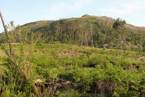 Helårsgrund i Ponte de Lima, Viana do Castelo, Ponte de Lima - € 7.500 | Ref: 5221 - foto 4