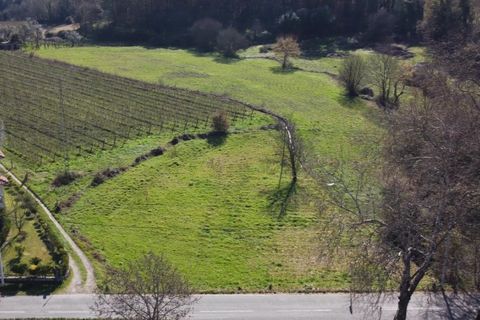 Helårsgrund i Ponte de Lima, Viana do Castelo, Ponte de Lima - € 15.000 | Ref: 5582 - foto 2
