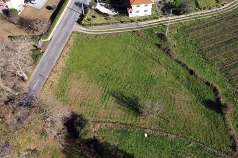 Helårsgrund i Ponte de Lima, Viana do Castelo, Ponte de Lima - € 15.000 | Ref: 5582 - foto 3