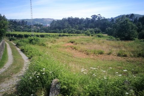 Helårsgrund i Ponte de Lima, Viana do Castelo, Ponte de Lima - € 15.000 | Ref: 5582 - foto 4