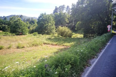 Helårsgrund i Ponte de Lima, Viana do Castelo, Ponte de Lima - € 15.000 | Ref: 5582 - foto 7