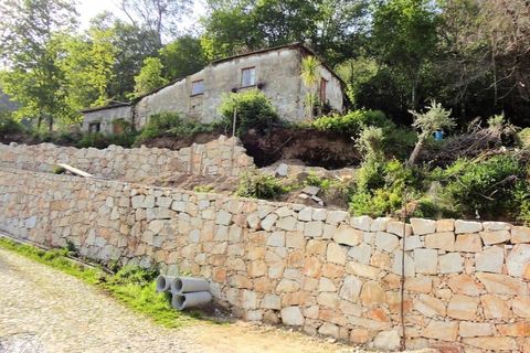 Villa i Ponte de Lima, Viana do Castelo, Ponte de Lima - € 97.000 | Ref: 4980 - foto 4