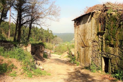 Villa i Ponte de Lima, Viana do Castelo, Ponte de Lima - € 97.000 | Ref: 4980 - foto 6
