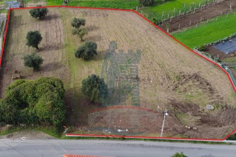 Helårsgrund i Ponte de Lima, Viana do Castelo, Ponte de Lima - € 280.000 | Ref: 6100 - foto 2