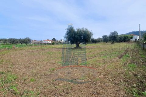 Helårsgrund i Ponte de Lima, Viana do Castelo, Ponte de Lima - € 280.000 | Ref: 6100 - foto 6